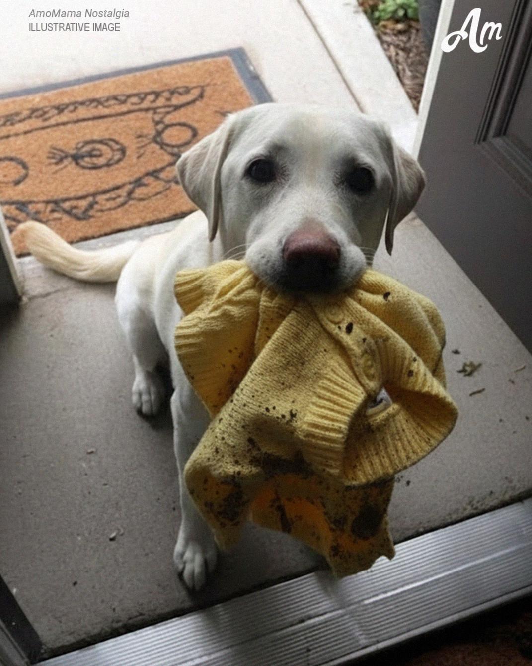 My Dog Brought Me My Late Daughter’s Sweater the Police Had Taken – Then He Led Me to a Place That Stopped Me Cold