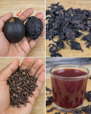 The Avocado Seed, Hibiscus, and Cloves Elixir — The Natural Blend People Are Talking About for Better Heart Health, Blood Sugar Support, and Circulation