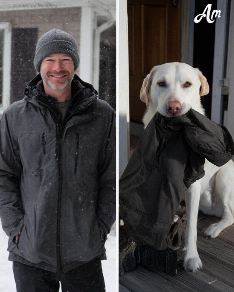My Dog Brought Me the Jacket My Husband Disappeared in Years Ago – I Followed Him and Couldn’t Believe What I Found