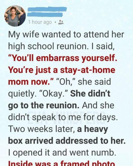 I Once Dismissed My Wife as “Just a Stay-at-Home Mom.” What I Learned Two Weeks Later Changed Everything