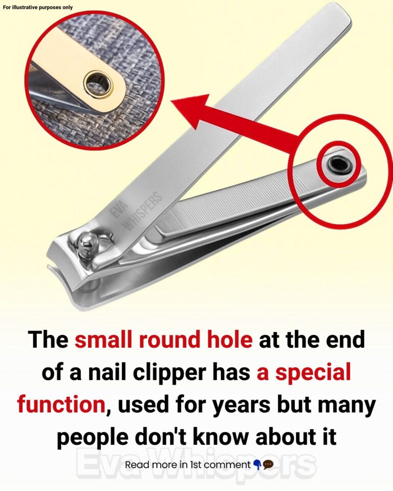 The Tiny Hole on Your Nail Clipper — and Why Small Design Details Matter More Than We Realize