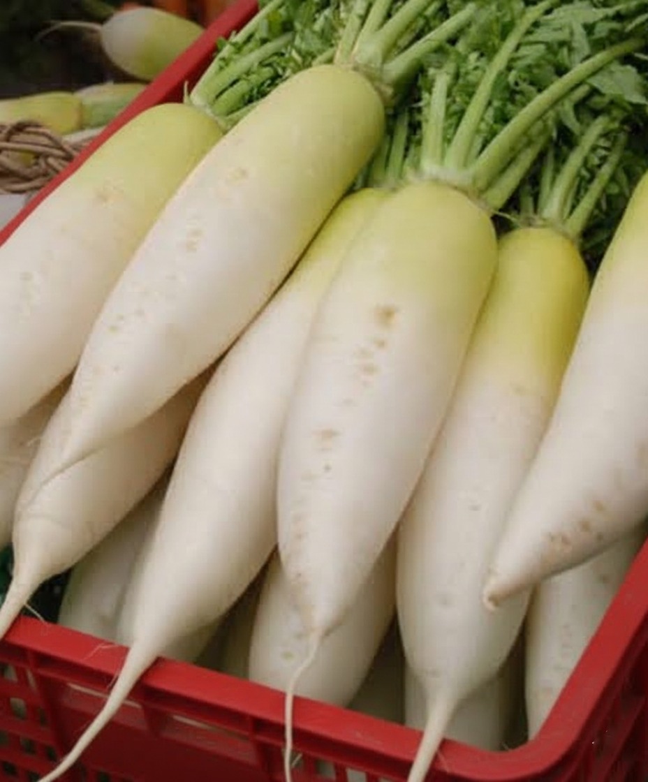 Doctors Reveal What Happens to Your Body When You Eat White Radish (Daikon)