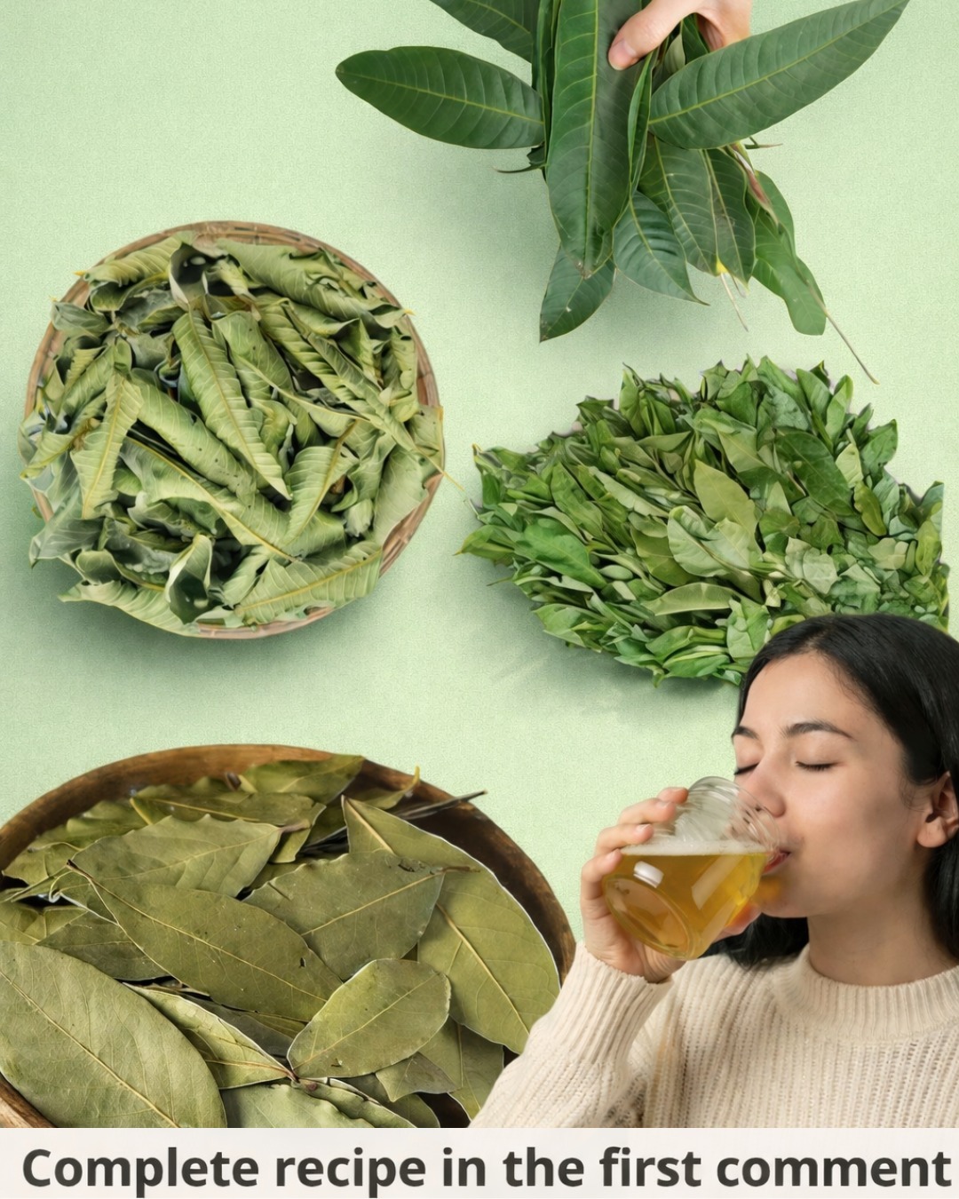 The Four Medicinal Leaves: Avocado, Mango, Bay, and Guava — Nature’s Gift for Your Well-Being