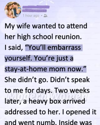 I Called My Wife ‘Just a Stay-at-Home Mom’ and Stopped Her From Going to Her Reunion—Then a Box Arrived That Left Me Numb