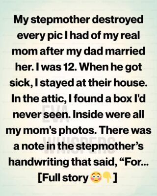I Thought My Stepmother Erased My Mother—The Truth Hid in the Attic for 15 Years