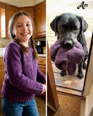 My Dog Brought Me My Late Daughter’s Sweater the Police Had Taken – Then He Led Me to a Place That Stopped Me Cold