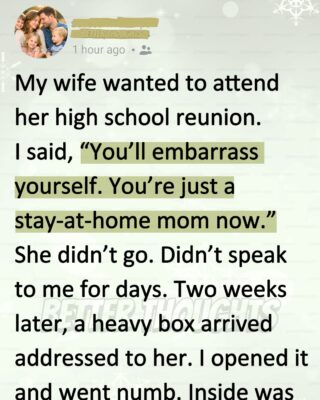 I Called My Wife ‘Just a Stay-at-Home Mom’ and Stopped Her From Going to Her Reunion—Then a Box Arrived That Left Me Numb