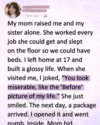 I Built a Perfect Life and Tried to Forget My Childhood—Until My Mom’s Past Arrived in a Box