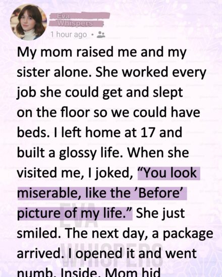 I Built a Perfect Life and Tried to Forget My Childhood—Until My Mom’s Past Arrived in a Box