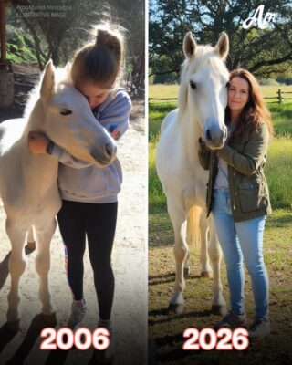 My Husband Sold My Horse While I Was Away – When I Overheard the Real Reason, I Went to War with Him