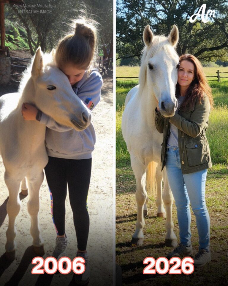 My Husband Sold My Horse While I Was Away – When I Overheard the Real Reason, I Went to War with Him