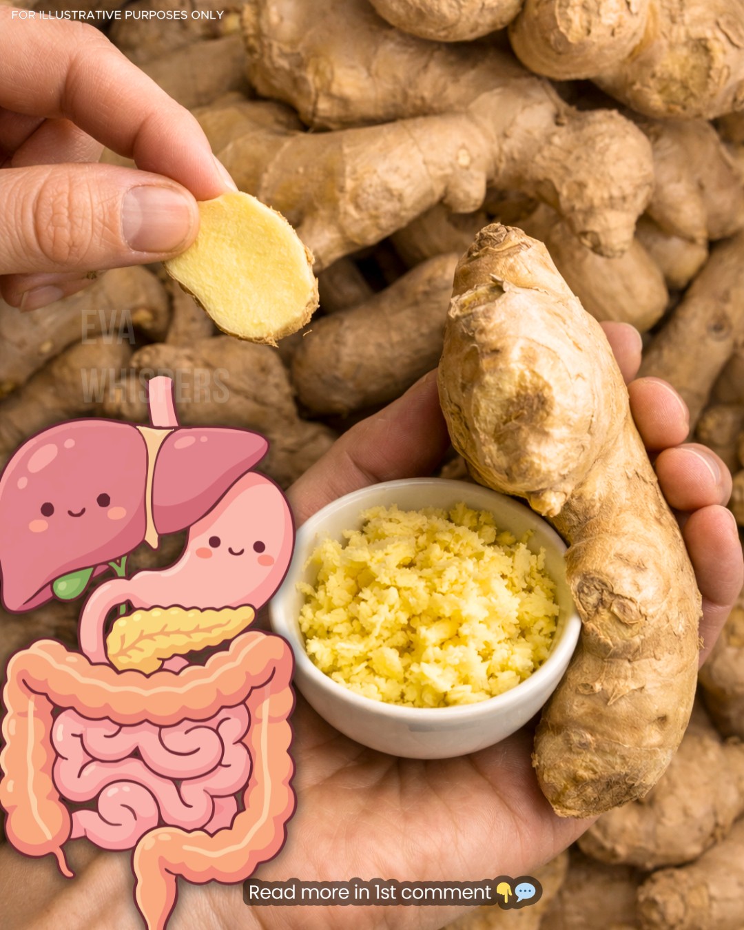 5 Ways to Eat Ginger for Better Digestion