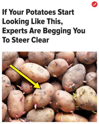 “Don’t Eat These!”: If Your Potatoes Start Looking Like This, Experts Are Begging You To Steer Clear