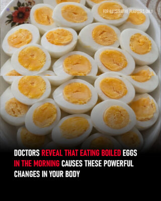 Doctors Reveal That Eating Boiled Eggs in the Morning Causes These Powerful Changes in Your Body