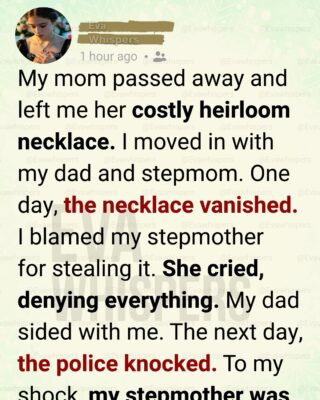 I Accused My Stepmother of Stealing My Late Mom’s Necklace—Then the Police Knocked on Our Door