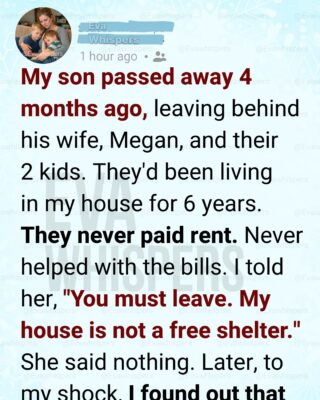 Four Months After My Son’s Funeral, I Asked His Widow to Leave My House — What Happened Next Still Haunts Me