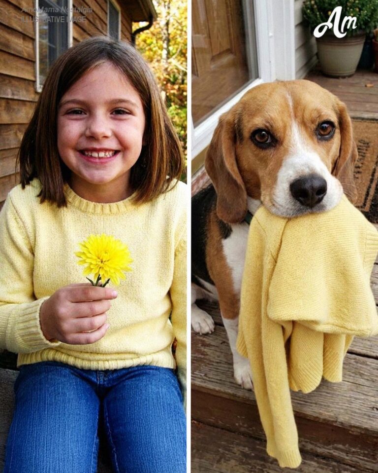 My Dog Brought Me My Late Daughter’s Sweater the Police Had Taken – Then He Led Me to a Place That Stopped Me Cold