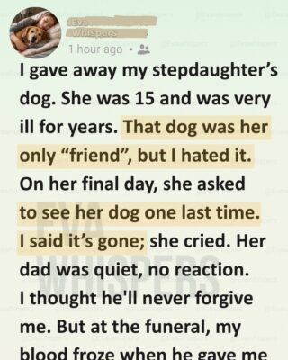 I Gave Away My Sick Stepdaughter’s Dog—Then Her Last Letter Broke Me