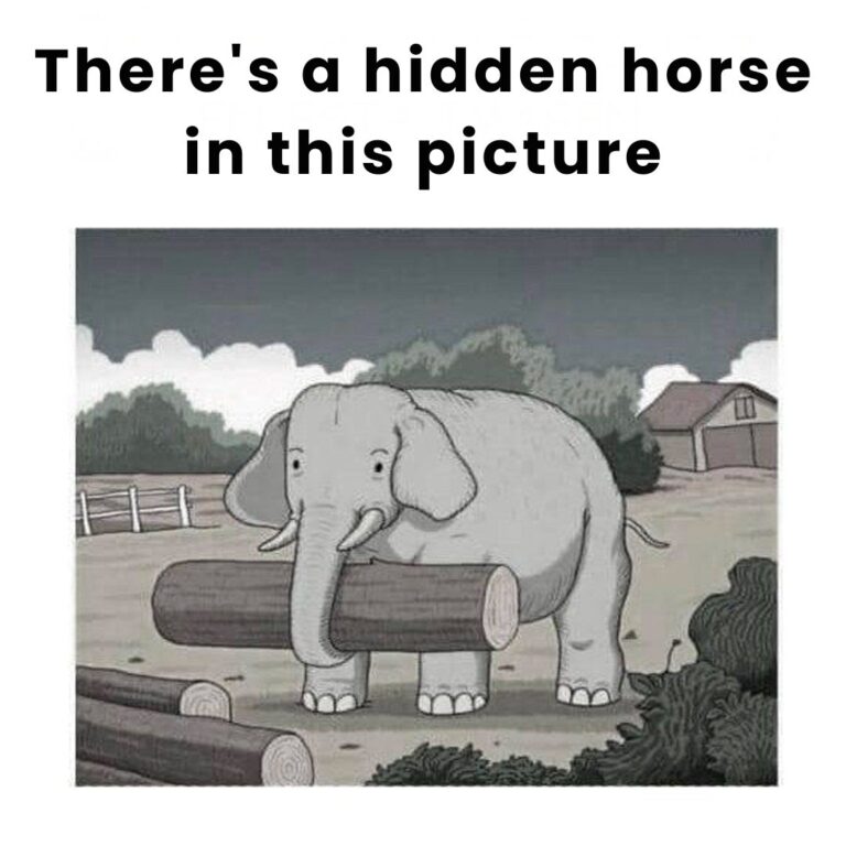 Can you find the hidden horse? Take on this extreme challenge in 7 seconds