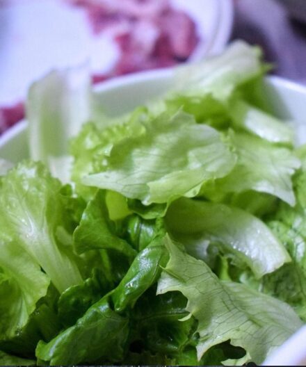Benefits and Contraindications of Eating Lettuce