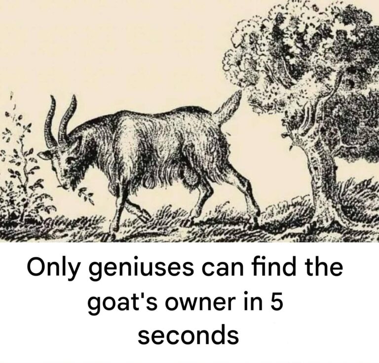 Only geniuses can find the goat’s owner in 5 seconds