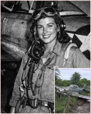 Title: The Forgotten Flight: A WWII Pilot’s Hidden Mission Revealed After 70 Years