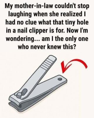 Why Your Nail Clipper Has That Small Round Hole — and Why It Still Matters Today