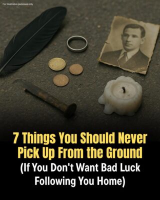 Objects You Should Never Pick Up Off the Ground