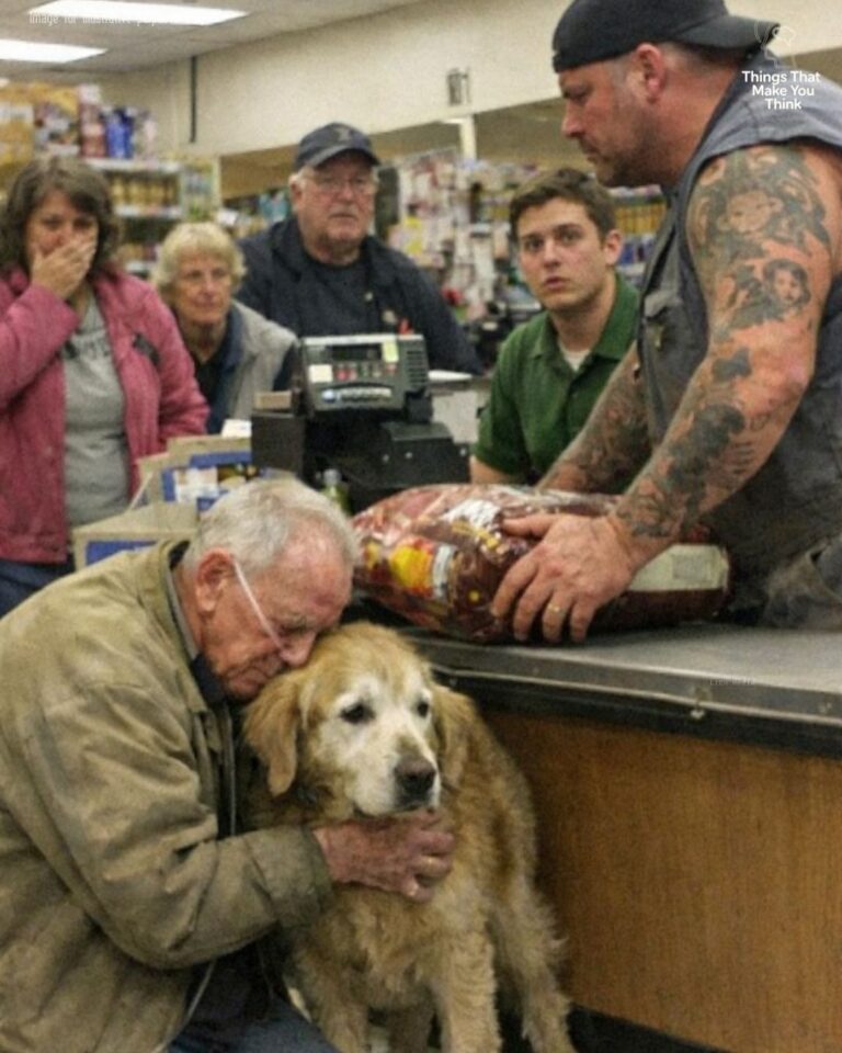 The Old Rescuer, the Dying Dog, and the Men Nobody Trusted