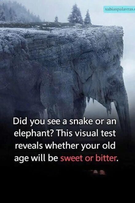 What did you see at first sight? 97% of people saw a snake! Find out if your old age will be bitter or sweet!