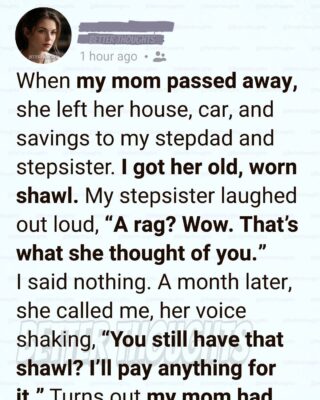 They Laughed When I Inherited a ‘Worthless Rag’—Until the Truth Came Out