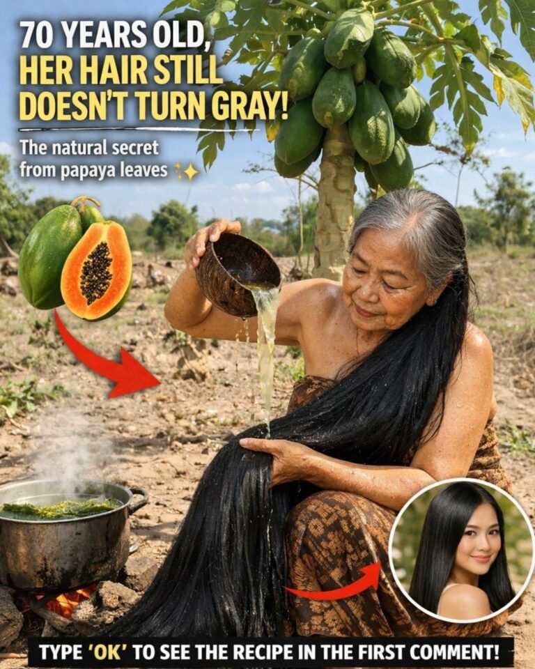 Papaya Leaves for Hair: A Natural Habit Many People Overlook