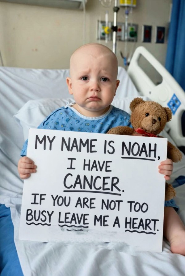 The Playground of Grace: A Song for Noah