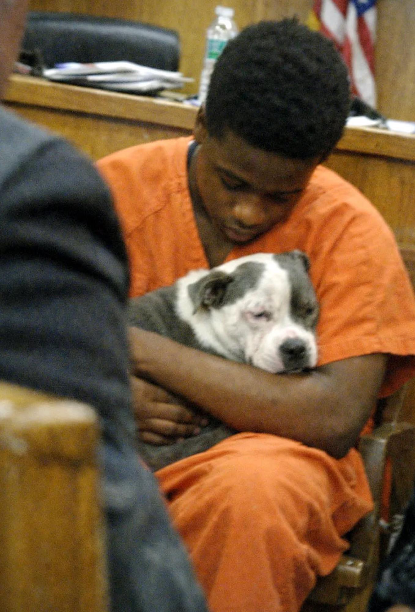 He Broke the Law to Save a Dog — and the Dog Told the Court the Truth