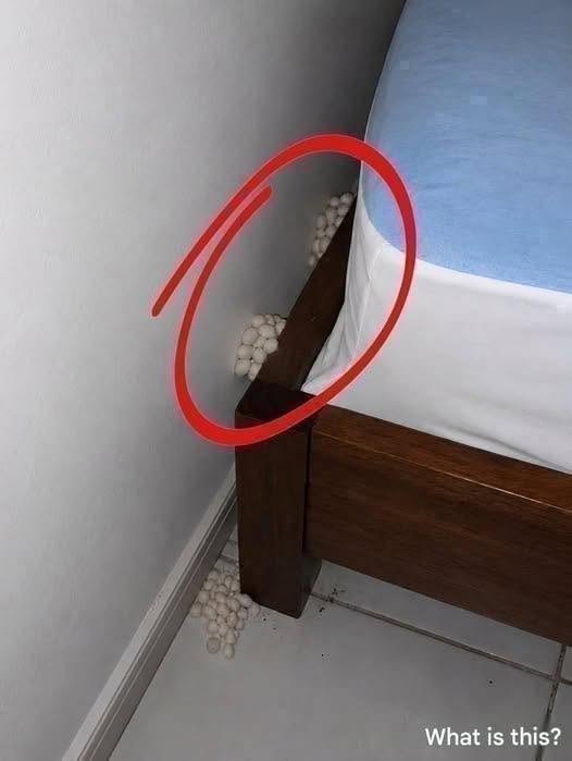 I came home exhausted waiting for a quiet night, but something was not right…