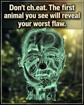 The First Animal You See in This Optical Illusion Might Reveal Your Biggest Flaw 1