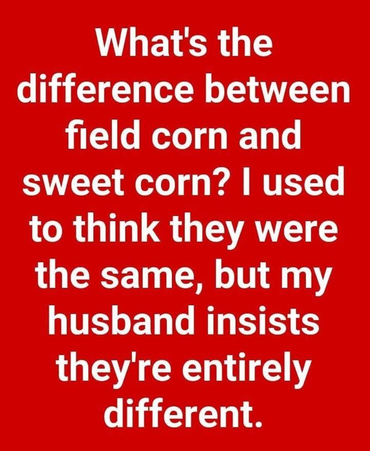Comparing Field Corn and Sweet Corn