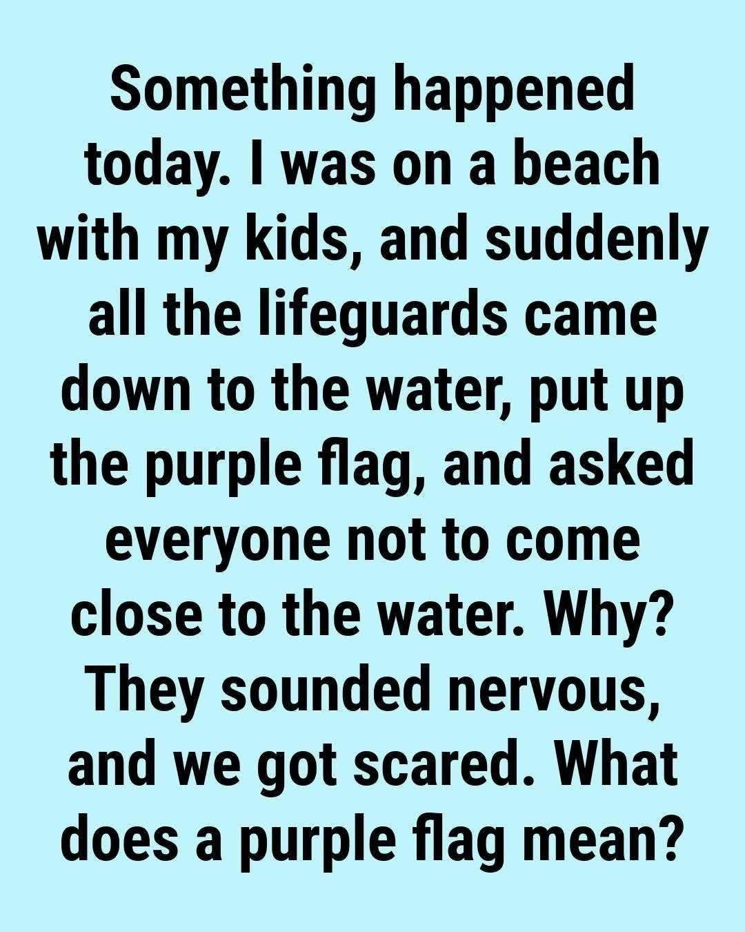 What Does the Purple Beach Flag Mean? The Hidden Ocean Warning Most Swimmers Ignore