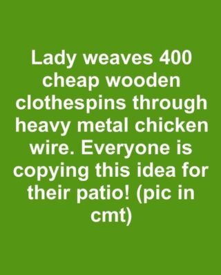 Lady weaves 400 cheap wooden clothespins through heavy metal chicken wire. Everyone is copying this idea for their patio!. Full article