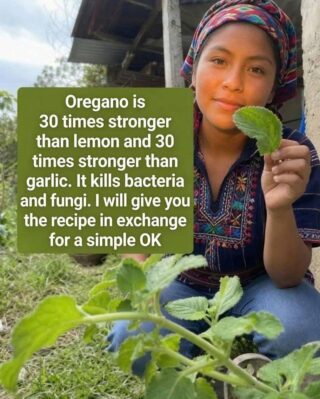 Oregano is 30 times stronger than lemon and 30 times stronger than garlic. It kills bacteria and fungi. I’ll give you the recipe in exchange for a simple OK. 1